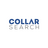 Collar Search in Lakehurst, NJ