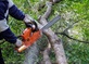 Tree Service Equipment in Atoka, TN 38004