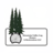 Mountain Valley Log Homes and Restoration in Sandy, UT