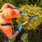 ECO Services Ohio in Fairview, OH Land Consultants