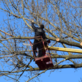 Lawn & Tree Service in New Albany, OH 43054