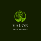 Valor Tree Service in Crown Center - Kansas City, MO Tree & Shrub Transplanting & Removal