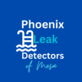 Phoenix Leak Detectors of Mesa in Northeast - Mesa, AZ Swimming Pools Contractors