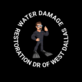 Water Damage Restoration DR of West Dallas in Southwest Dallas - Dallas, TX Water Companies