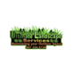 Ultimate Landscape Services in Saint Cloud, FL Landscaping