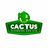 Cactus Plumbing and Air in Mesa, AZ