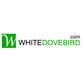 White Dove Bird in Dover, DE Web-Site Design, Management & Maintenance Services