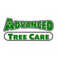 Advanced Tree Care in Doylestown, PA Lawn & Tree Service