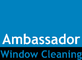 Ambassador Window Cleaning in Central Park - Vancouver, WA Window & Blind Cleaning