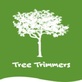 Tree Trimmers in Underwood, MN Tree & Shrub Transplanting & Removal