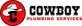 Cowboy Plumbing Services in New Braunfels, TX Plumbing Contractors