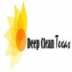 Deep Clean Texas in Houston, TX House Cleaning & Maid Service