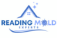Mold Remediation Reading Solutions in Reading, PA