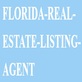 Florida Real Estate Listing Agent in Downtown - Tampa, FL Real Estate Agencies