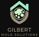 Mold Removal Gilbert Results in Gilbert, AZ Fire & Water Damage Restoration
