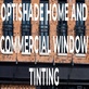 Optishade Home and Commercial Window Tinting in West Central - Mesa, AZ Windows