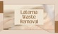 Laterna Waste Removal in Orlando, FL Utility & Waste Management Services
