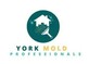 Mold Remediation York PA Solutions in York, PA Fire & Water Damage Restoration