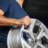 Tire & Wheel Xperts in Hayward, CA