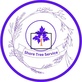 Tree & Shrub Transplanting & Removal in Quincy, MA 02169