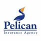 Pelican Insurance Agency in Webster, TX Auto Insurance