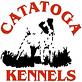 Catatoga Kennels in Knoxville, TN Pet Boarding & Grooming