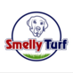 Smelly Turf in Glendale, AZ Lawn Maintenance Services