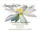 Synergy Mind Body Wellness in San Francisco, CA Health Care Information & Services