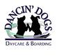 Dancin' Dogs Boarding & Daycare in Newberry, FL Pet Boarding & Grooming