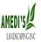 Amedis Landscaping in Puyallup, WA