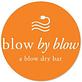 Blow By Blow in Chicago, IL Day Spas