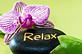 The Quiet Place Massage & Skin Care in North Muskegon, MI Skin Care Products & Treatments