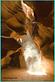 Mike Loring Photography in Southbury, CT Misc Photographers