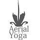 Aerial Art Yoga in Milwaukee, WI Yoga Instruction