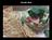 Cuban Restaurants in Austin, TX 78756