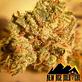 New Age Medical LLC - Humboldt Care #2 in Colorado Springs, CO Dispensaries