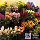 WARREN UNIQUE FLOWER AND GIFT SHOP in Darlington, SC Florists