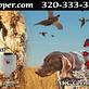 Buy and Sell Hunting Dogs in Flint, MI Pet Care Services