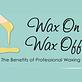 Wax On Wax Off in Garland, TX Day Spas