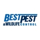 Best Pest & Wildlife Control in Mission Viejo, CA Pest Control Services