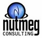Nutmeg Consulting in Middletown, CT Information Technology Services