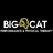 Big Cat Performance & Physical Therapy in North Canton, OH