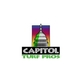 Capitol Turf Pros in Damascus, MD Artificial Turf Installation Contractors