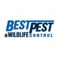Pest Control Services in Westminster, CO 80031