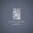 Cedar Grove Aesthetics in Smyrna, TN