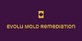 Evolu Mold Remediation in Venice, FL Molds