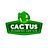 Cactus Plumbing And Air Scottsdale in South Scottsdale - Scottsdale, AZ