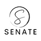 Senate Marketing in Bethlehem, NM Advertising Agencies