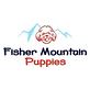 Fisher Mountain Puppies in Fayetteville, AR Pet Care Services