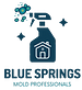 Blue Springs Mold Remediation Solutions in Blue Springs, MO Fire & Water Damage Restoration